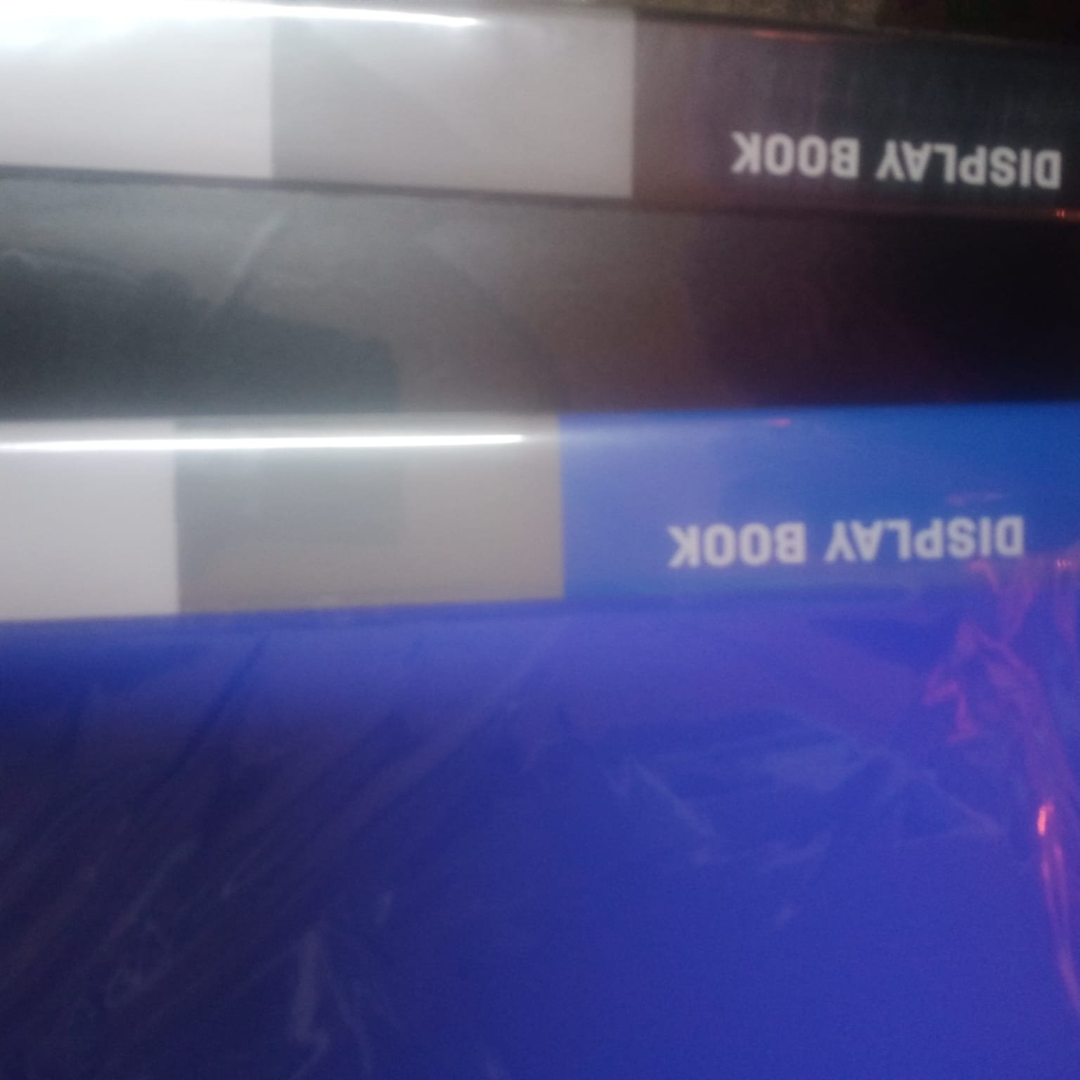 PORTFOLIO DISPLAY BOOKS