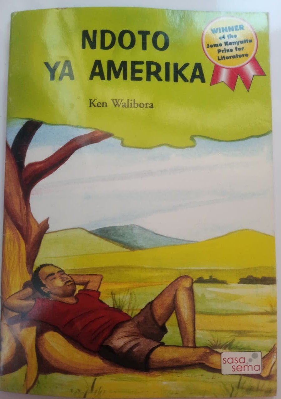 NDOTO YA AMERIKA